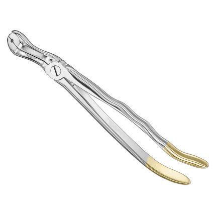 FELSCH, extracting forceps